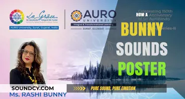 How a Bunny Sounds Poster: Creative Ideas for Unique Designs