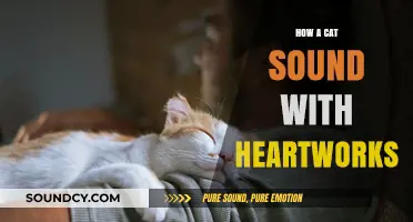 Heartwarming Purrs: The Language of Cat Love