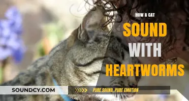 Heartworm-Infected Cats: Their Cries for Help