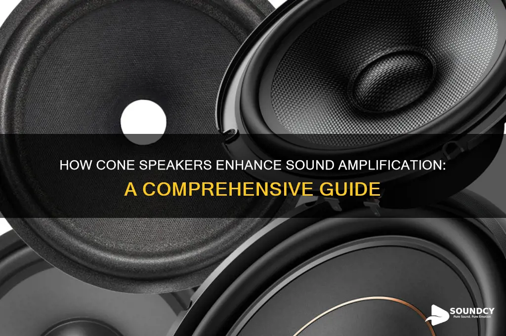 how a cone amplifies sound