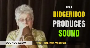 Unveiling the Didgeridoo's Buzz: How Circular Breathing Creates Unique Sounds