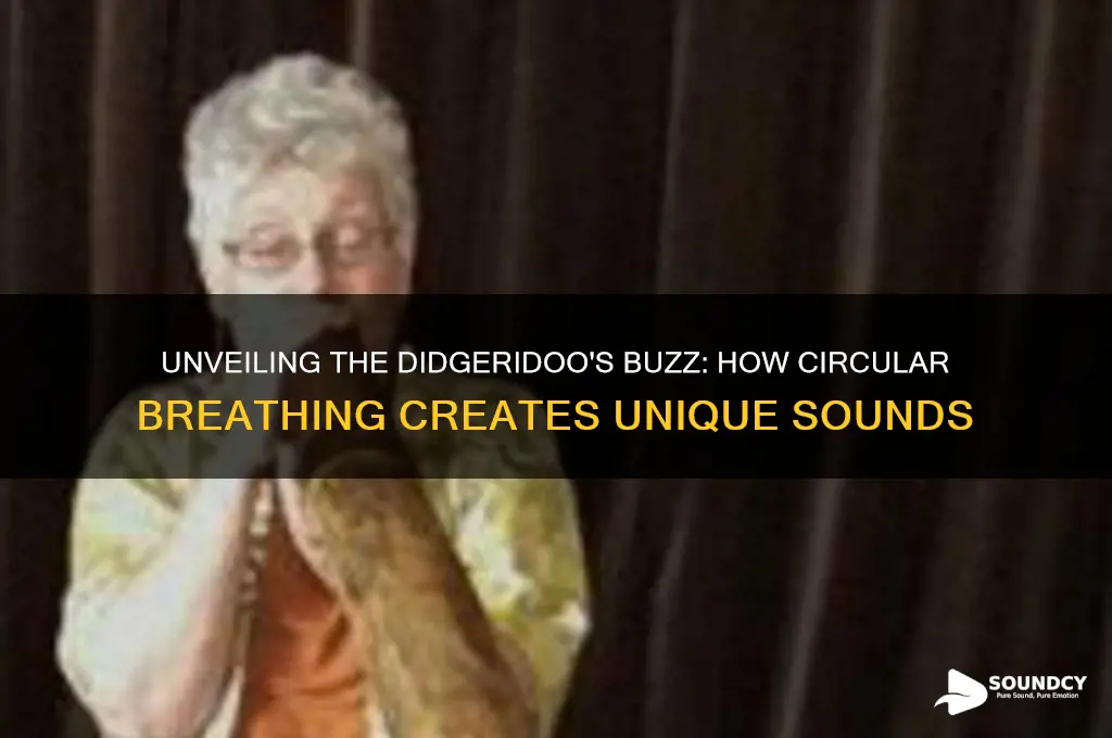 how a didgeridoo produces sound