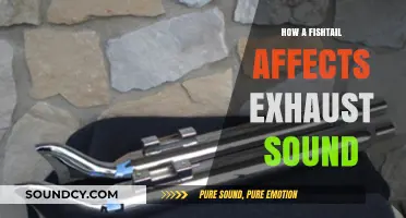 The Fishtail Effect: Enhancing Your Exhaust's Roar