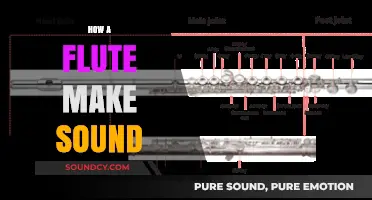 How a Flute Produces Sound: The Science Behind Its Melody