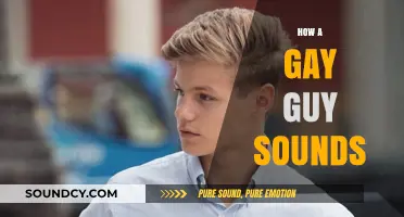 Unveiling Stereotypes: Exploring the Myth of How a Gay Guy Sounds