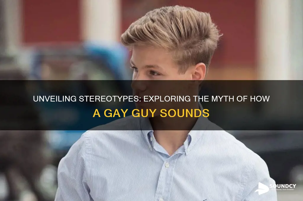 how a gay guy sounds