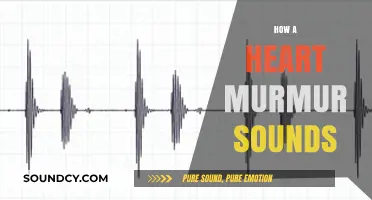 Understanding Heart Murmurs: What Those Unique Sounds Really Mean