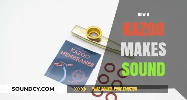 Unveiling the Buzz: How a Kazoo Creates Its Unique Sound