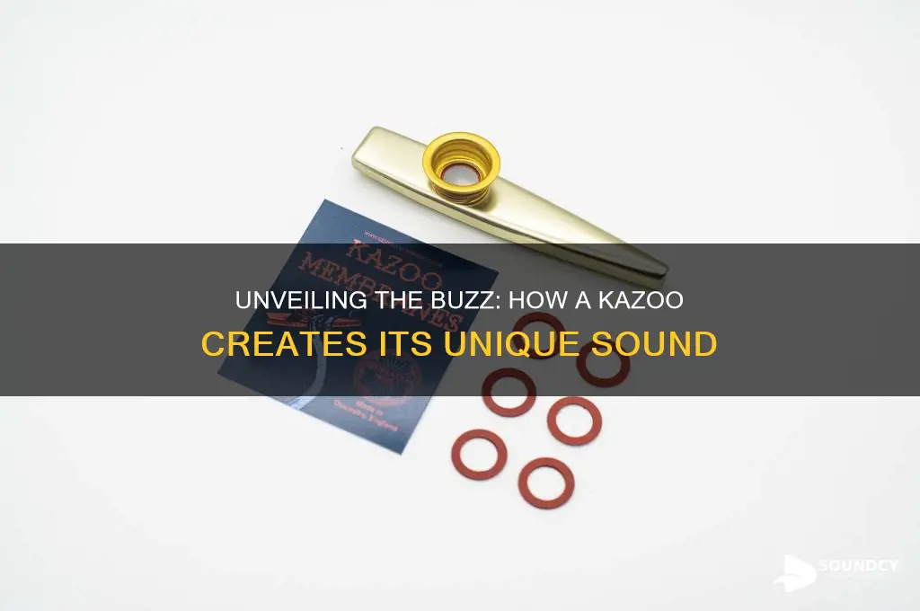 how a kazoo makes sound
