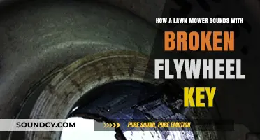 Broken Flywheel Key: The Unusual Noise of a Lawn Mower