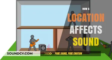 How Your Surroundings Shape the Sounds You Hear: A Guide