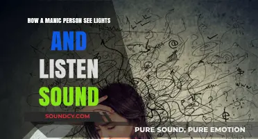 Vibrant Visions, Amplified Echoes: Experiencing Lights and Sounds in Mania
