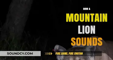Unveiling the Mysterious Calls of Mountain Lions in the Wild