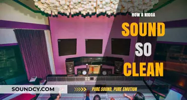 Immaculate Audio: How a Nigga Sounds So Clean