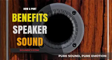 Ports Enhance Speaker Sound Quality