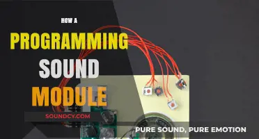 Understanding Programming Sound Modules: Functionality, Implementation, and Applications