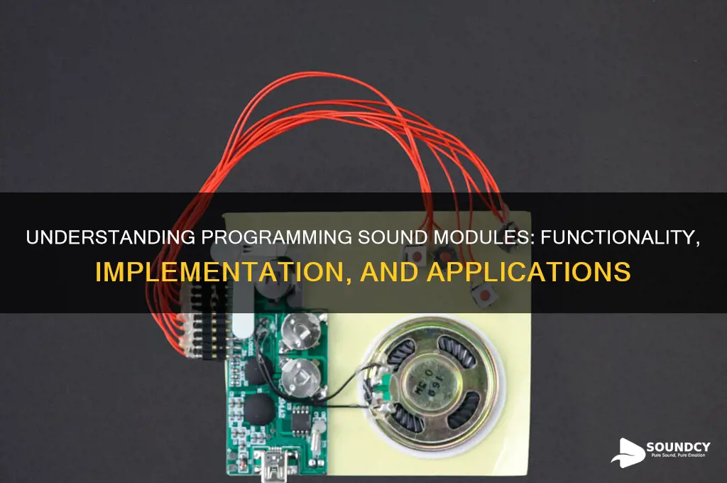 how a programming sound module