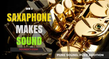 Unveiling the Magic: How a Saxophone Produces Its Unique Sound