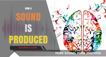 Unveiling the Science: How Vibrations Create the Sounds We Hear