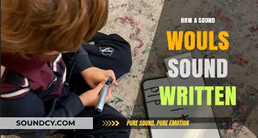 Writing Sounds: Capturing Audio in Words