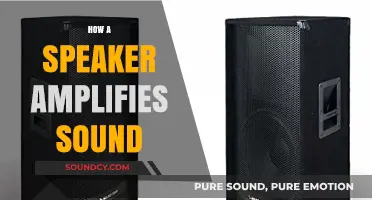 Understanding Speaker Mechanics: How Sound Amplification Works in Audio Devices