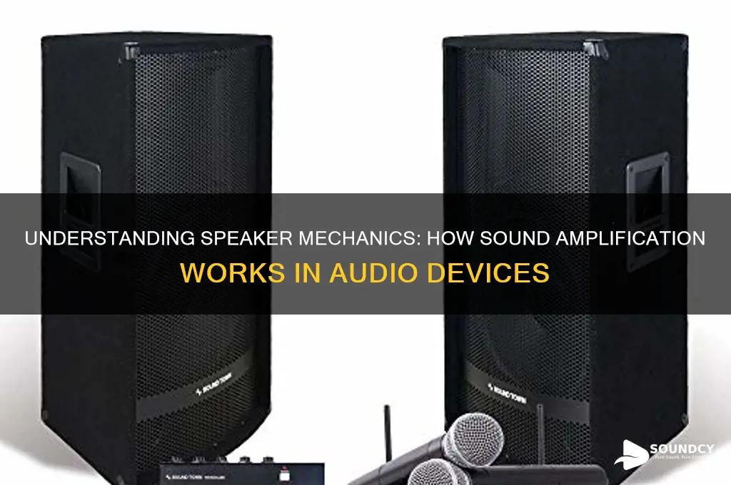 how a speaker amplifies sound
