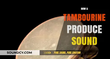 How a Tambourine Creates Its Unique Sound: A Musical Exploration