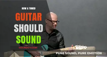 Guitar Tuning: The Sound of Music