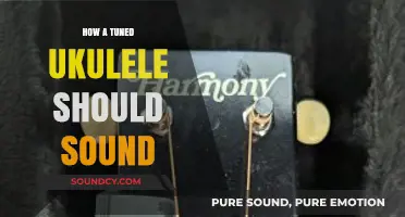Ukulele Tuning: The Sound of Harmony