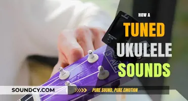 Discover the Sweet, Harmonious Sound of a Perfectly Tuned Ukulele
