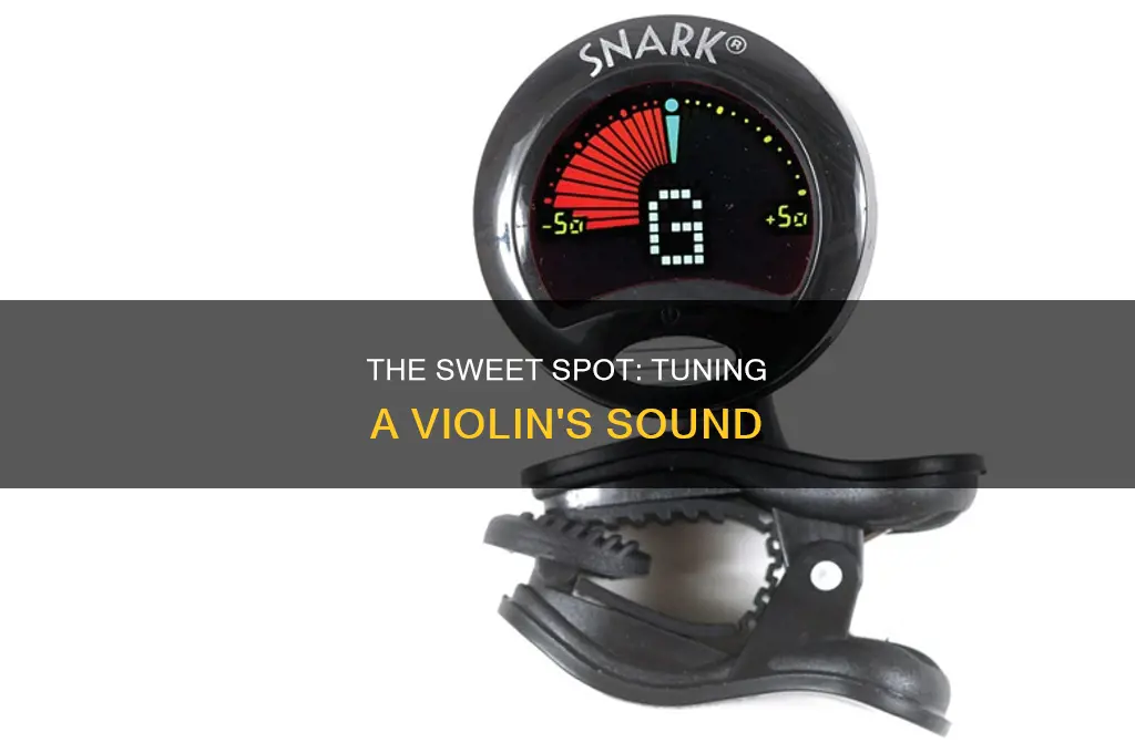 how a tuned violin should sound