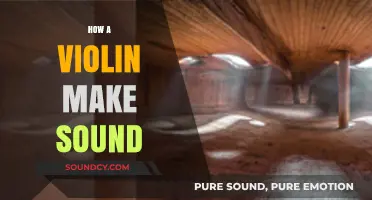 The Science Behind Violin Sound Production: A Comprehensive Guide