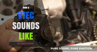 The Distinctive Roar: Exploring the Unique Sound of VTEC Engines