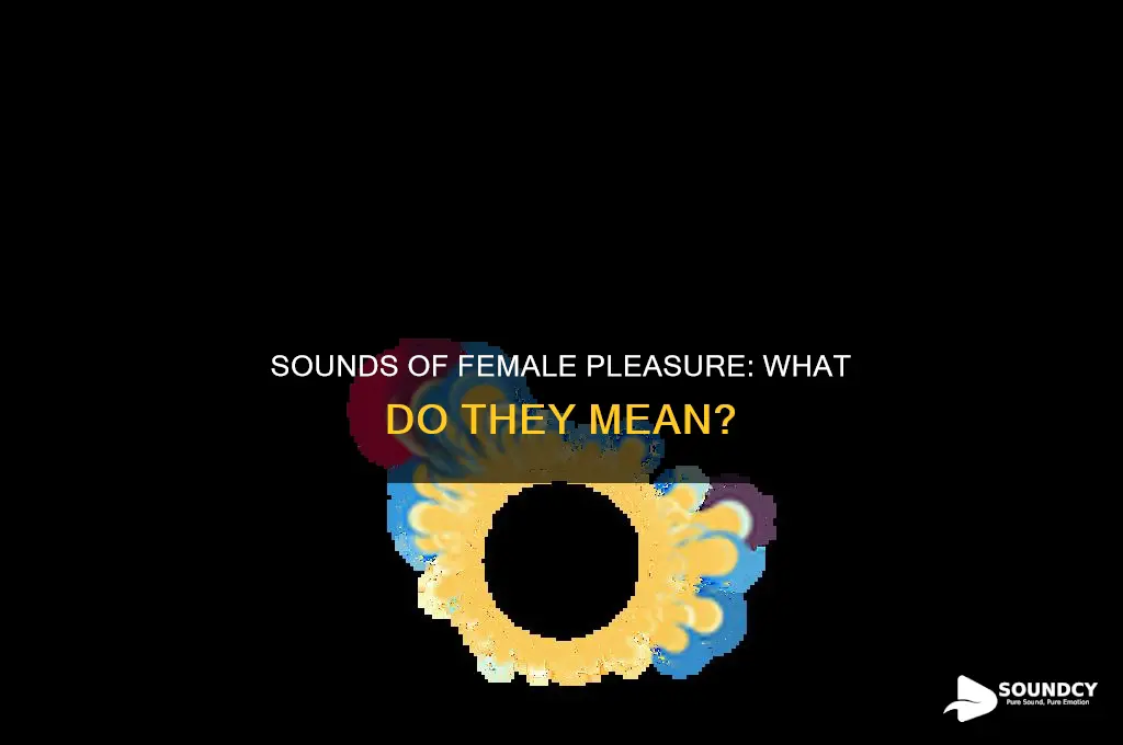 how a women sound dering orgasom