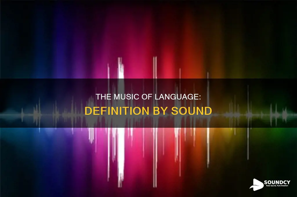 how a word sounds definition word