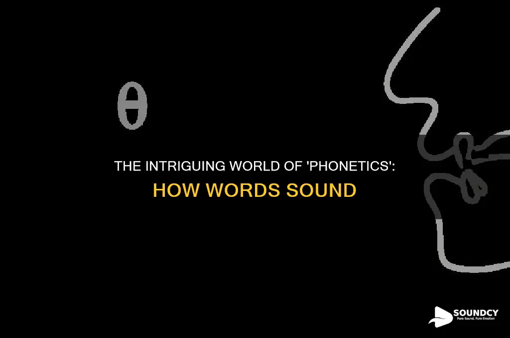 how a word sounds is called