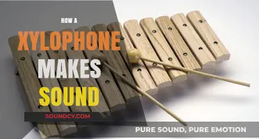 Unveiling the Vibrant Science Behind Xylophone Sound Production