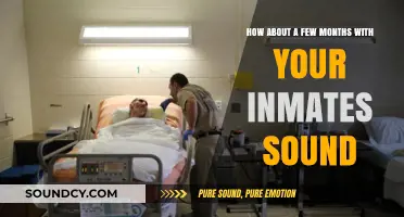 Months Behind Bars: Life and Lessons with Fellow Inmates