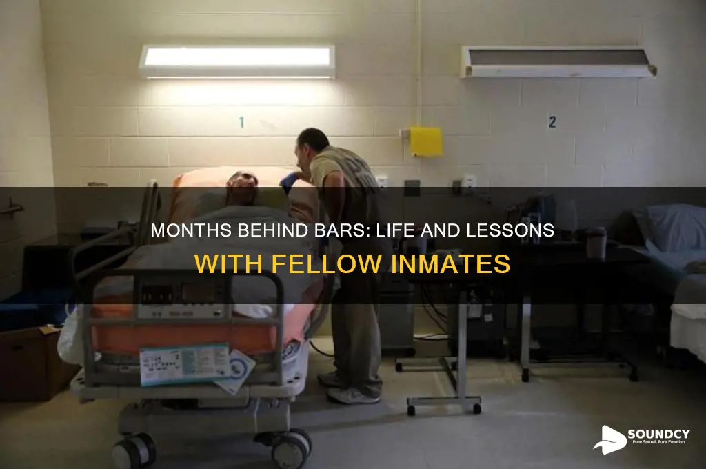 how about a few months with your inmates sound