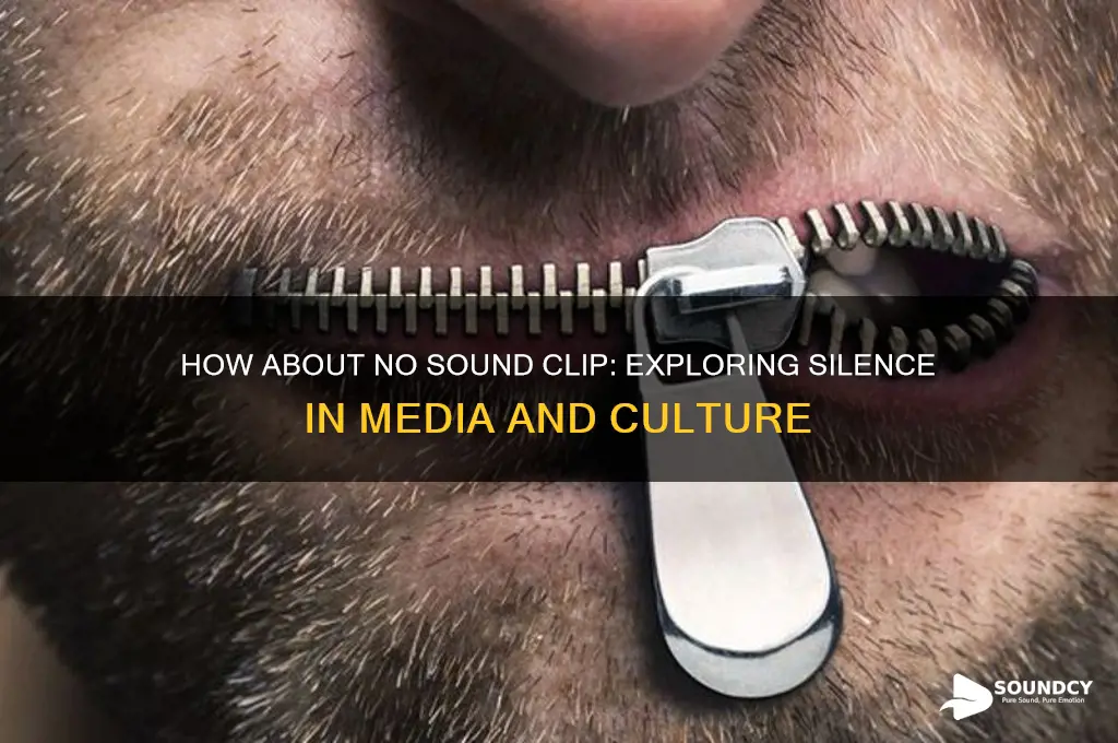 how about no sound clip