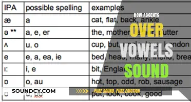 Mastering Vowel Accents: How Diacritics Shape Pronunciation Across Languages