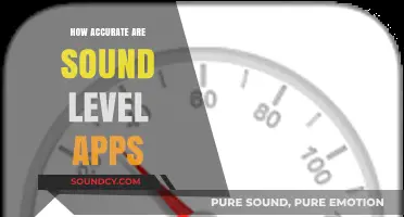 Sound Level Apps: How Precise Are They?