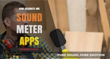 Sound Meter Apps: How Reliable Are They?