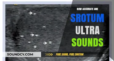 Scrotum Ultrasounds: Are They Reliable?