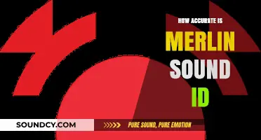 Merlin Sound ID: Accurate or Not?