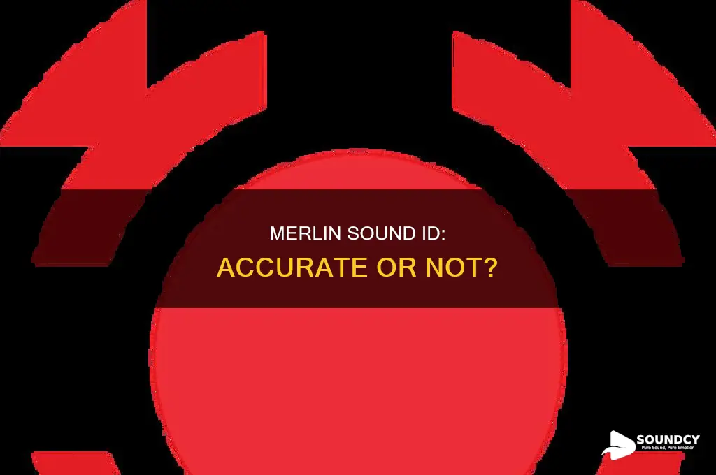 how accurate is merlin sound id