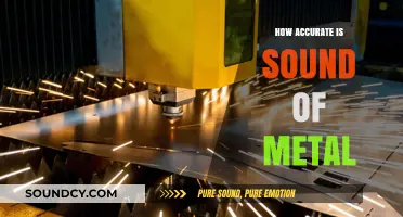 The Accuracy of Sound of Metal: A Realistic Portrayal?
