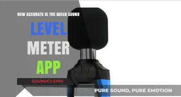 NIOSH Sound Level Meter App Accuracy: A Comprehensive Review