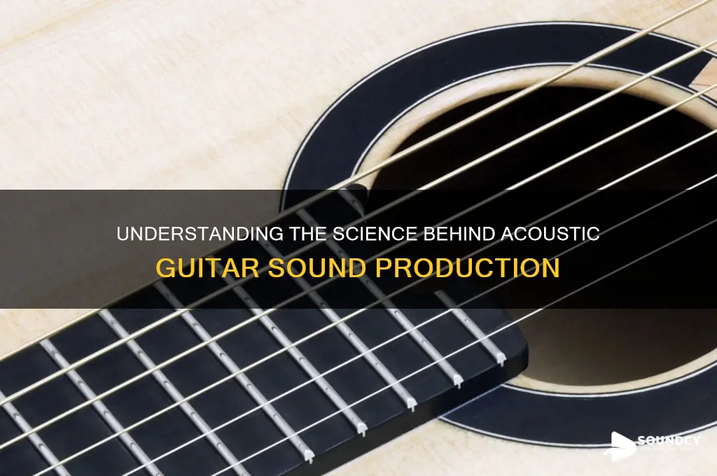 how acoustic guitars make sound