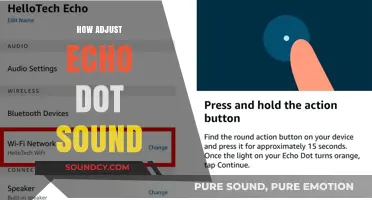 Master Your Echo Dot: Simple Steps to Adjust Sound Settings